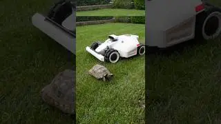 ROBOT TOSAERBA LUBA 2 AWD MAMMOTION Fa tutto lui !!!