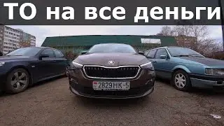 Prices for maintenance of Skoda Rapid. Skoda under the ban.