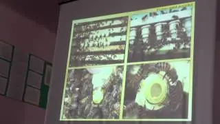 Вывод маток для нужд своей пасеки