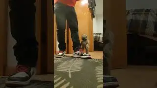 testing my latest marionette I made
