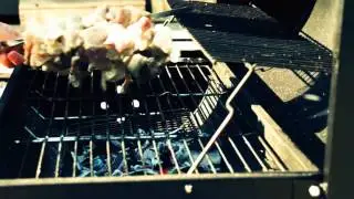 One day of life