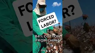 Is your lab coat fabric from forced labor? Here are the chances based on what it's made from.