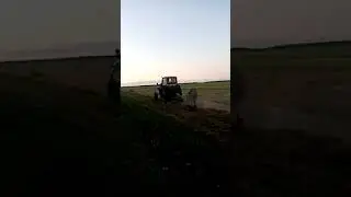 Юмз 6 сенокос