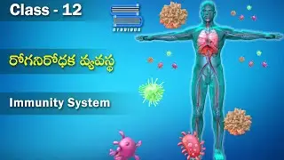 రోగనిరోధక వ్యవస్థ – Immunity System | Health and DIsease | Biology Telugu | Class 12 Bipc