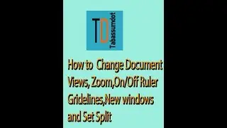 How to change Document views,Zoom in & out , On/Off Ruler | On/Off Guidelines, New windows MS Word