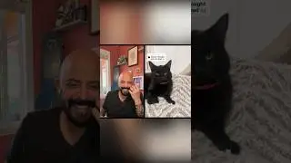 The accent is EVERYTHING!💀😹 #cats #funnycats #reaction