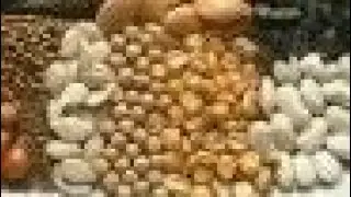 В чем замочить семена ? Отличные варианты