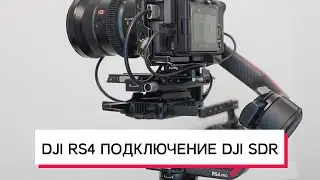 DJI RS4 ПОДКЛЮЧЕНИЕ DJI SDR ОБЗОР ПРИЛОЖЕНИЯ DJI RONIN APP
