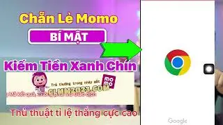 Clmm | Hướng Dẫn Bắt Cầu Luôn Thắng Web Clmm Uy Tín 2023