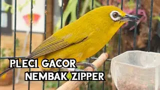 Pleci Nembak Zipper Nobita Wit wit