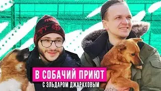 Dogs will not forget you