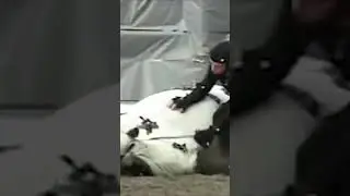 Вот как создавалась анимация лошади в Red Dead Redemption 2...  
