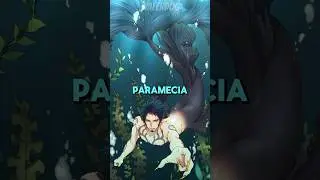How to Awaken a Devil Fruit? | One Piece