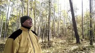 Валерий Сальников - Ветер с Севера