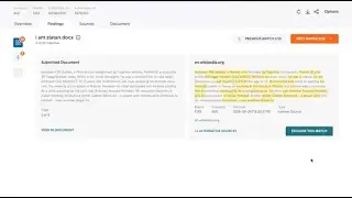 Understanding the Ouriginal analysis report
