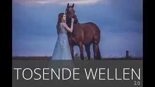 Tosende Wellen 2.0