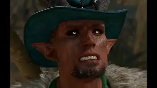 Reactions in BG3 - My Opinion