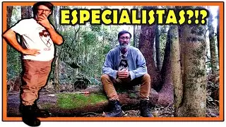 EU REAGINDO a opinião e ABSURDOS dos "ESPECIALISTAS"