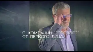 Лучшие деревянные дома. О компании «Городлес».
