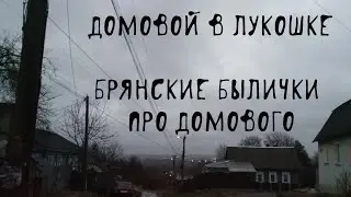 🧳 Домовой переезжает | Домовые | В. Д. Глебов | Брянские былички | 121–130