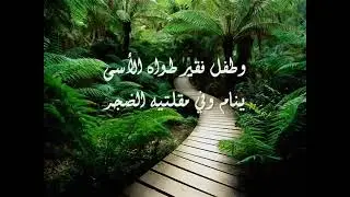 سلسلة أجمل الأناشيد-  Nasheed I Mohammad Al Omary I-  كشوق الليالي لضوء القمر -