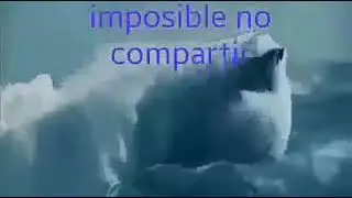 MARINERO RECUERDA SIEMPRE QUIEN ES TÚ CAPITÁN