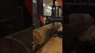 Serraria com Carro Porta Toras e Serra Fita Tandem | Vantec Máquinas