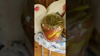 огуречики с эко огорода на зиму с чесночными стрелками в томатном соке с того же огорода