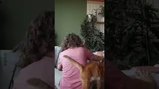 Котнадзор 🧡🧡