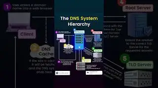 Understanding how the DNS works is key to grasping how the internet connects users to websites