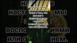 #цитаты