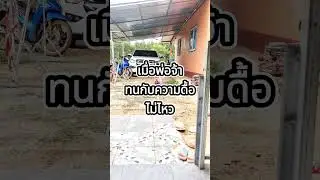 รวมคลิปฮา Ep.16 #คู่รักสายฮา #funny