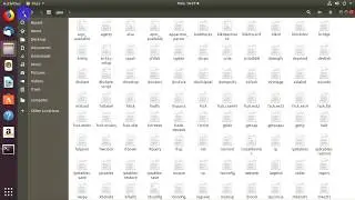 How to Use Which Command in Linux Terminal | Basic Linux Commands | Which Command in Linux