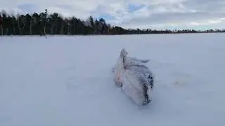 Рыбалка зимой!!! Щучка поймана