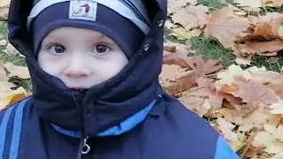 Малыши на осенней прогулке