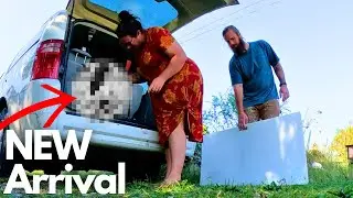 Homestead Work Day Ahead of a NEW Arrival! | Farm Life VLOG