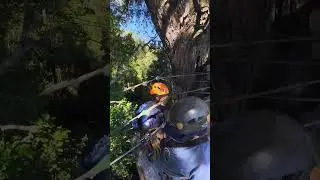 Ziplining in Africa