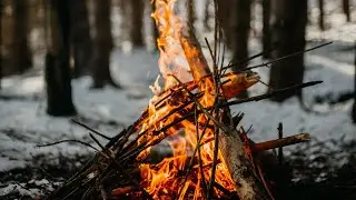 В поход с NAPALMom.Мачете,палатка и костер.