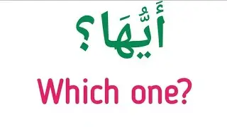 Most Useful Arabic Vocabulary