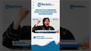 Jokowi Sudah Menyetujui Mundurnya Tri Rismaharini dari Jabatannya sebagai Menteri Sosial
