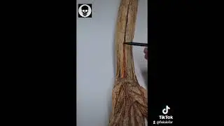 MÚSCULOS DEL ANTEBRAZO