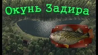 Fishing Planet PS4 # Окунь Задира Миссия рыбы монстры