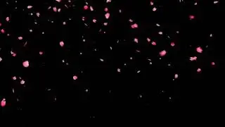 Black screen falling blossoms effects||black screen falling effects||black screen heart||blossom