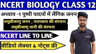 P-4 | Class 12 Biology Chapter-1 | पुष्पी पादपों में जनऩ | लघुबीजाणु धानी की सरंचना | परागकण |