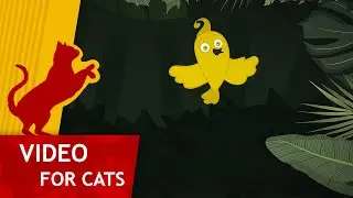 Cat Games - 🐤 Yellow Bird in the Jungle (Video for Cats to watch) 4K