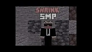 My Shrink SMP Application (Declined)