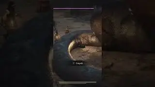 BATTLING THE MEDUSA 