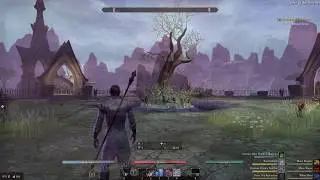 Elder scrolls online Veteran maelstrom 549k+ score run pet sorc