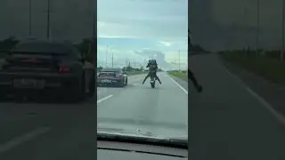 Foi fazer gracinha - Deu ruim!
