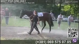 Night Star bgturf